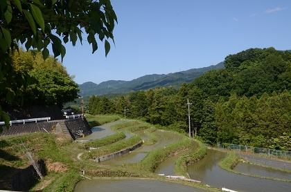 c0229483_8253361.jpg