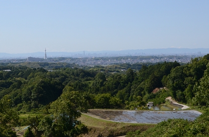 c0229483_826152.jpg