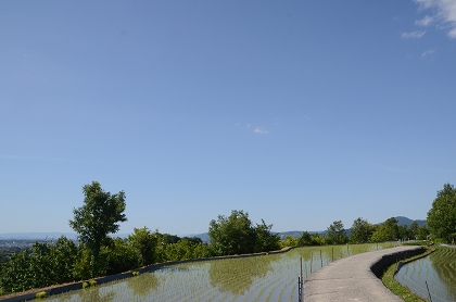c0229483_8263452.jpg