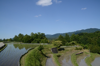 c0229483_8265663.jpg