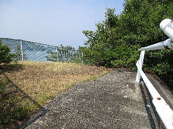 f0003283_11175014.jpg