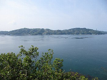 f0003283_11175419.jpg
