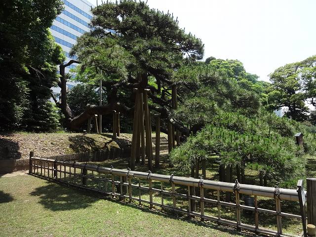 f0017185_9534188.jpg