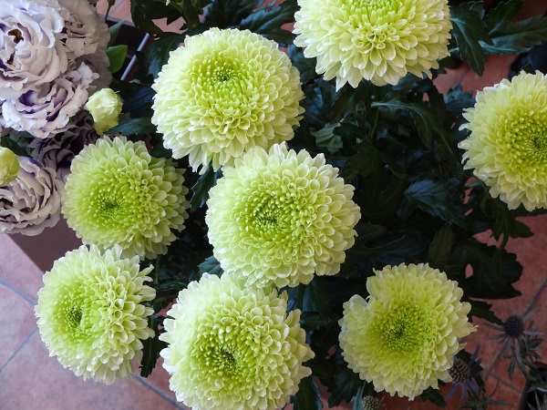 e0140986_13323777.jpg