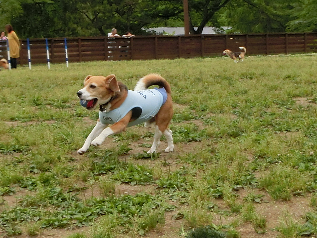 a0319693_7503251.jpg