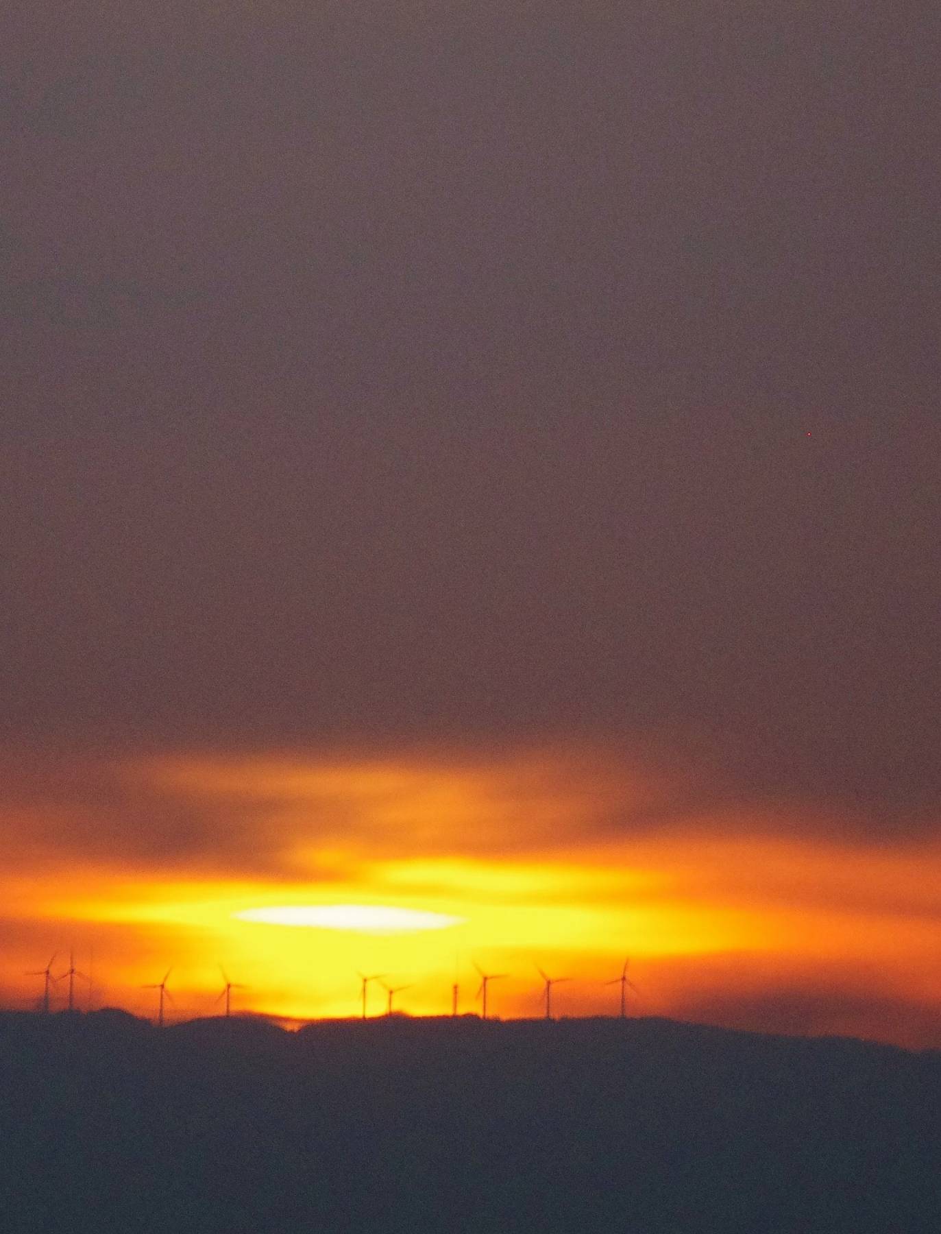 b0028598_19241148.jpg