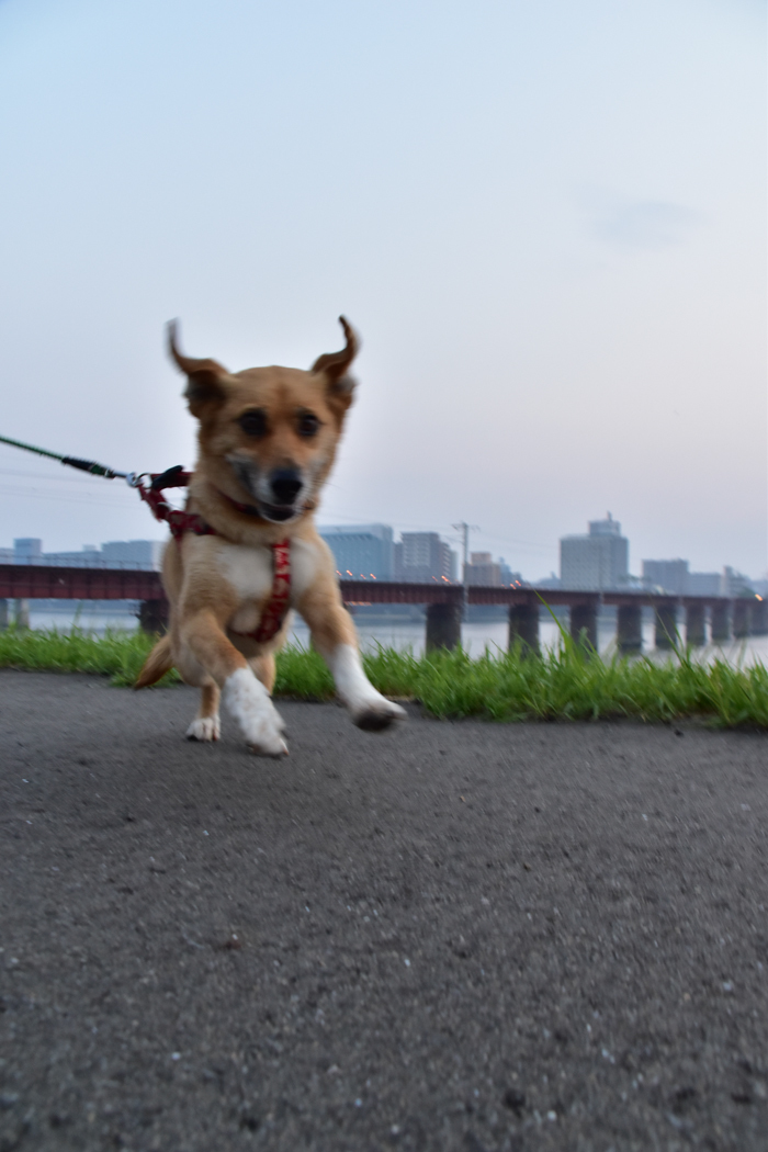 c0049299_21361415.jpg