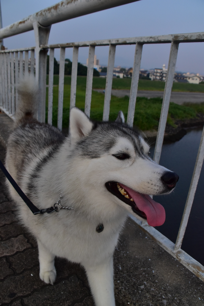 c0049299_22072430.jpg