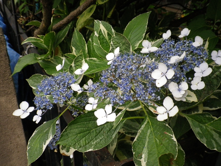 f0239100_17054555.jpg