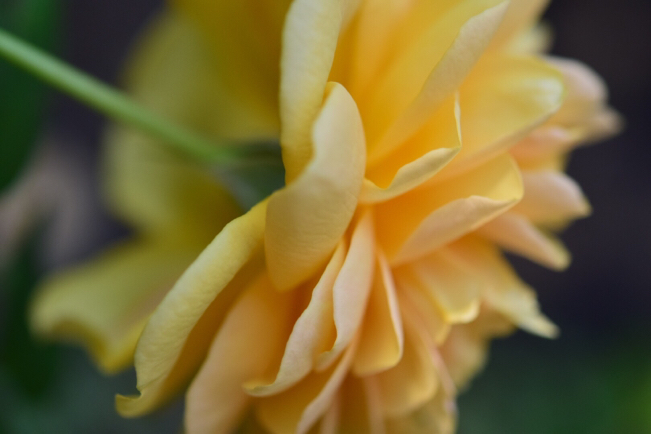 e0346002_10435155.jpg