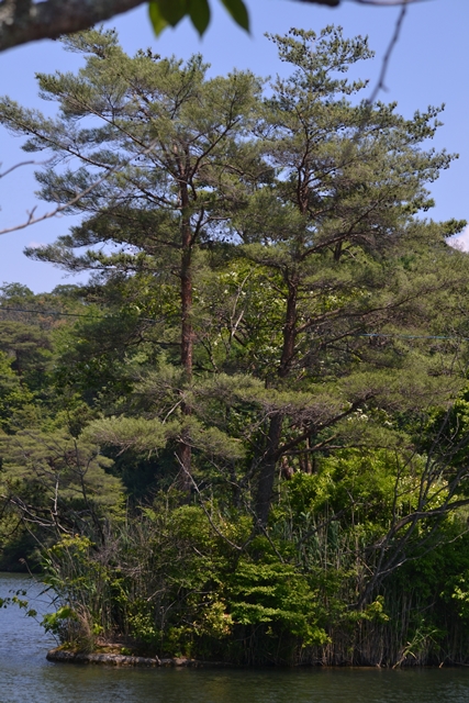 a0240403_1059213.jpg
