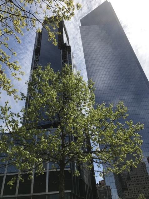 f0250403_07095803.jpg