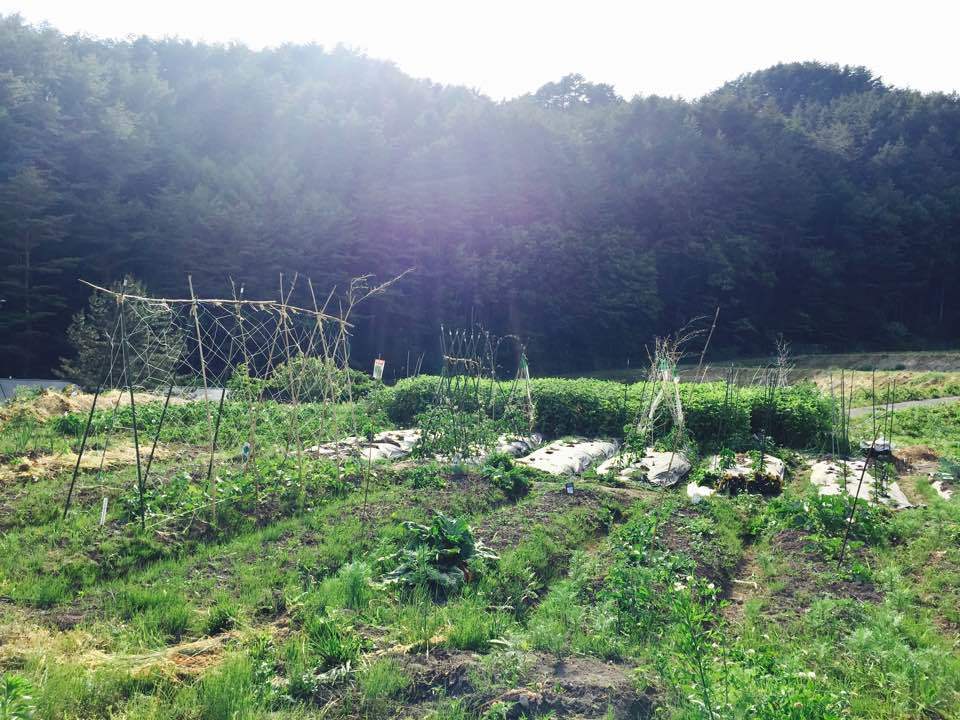 d0024504_13014270.jpg