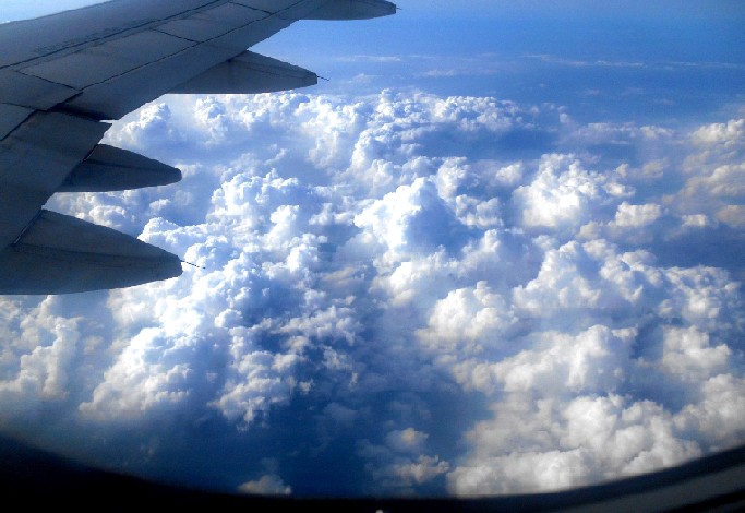 d0140806_13143489.jpg
