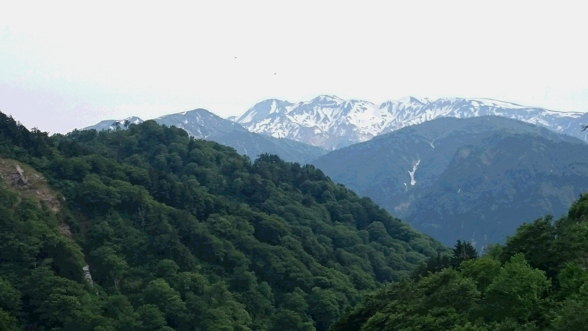 e0172608_22433410.jpg