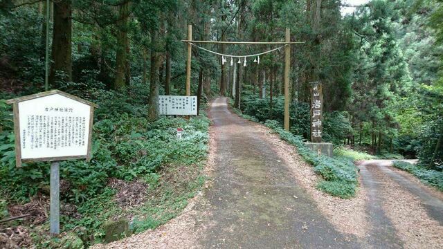 a0246211_1574766.jpg