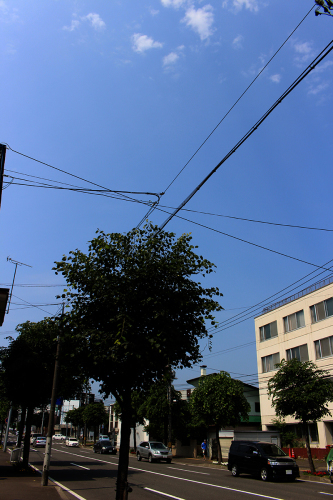 a0139912_09291667.jpg