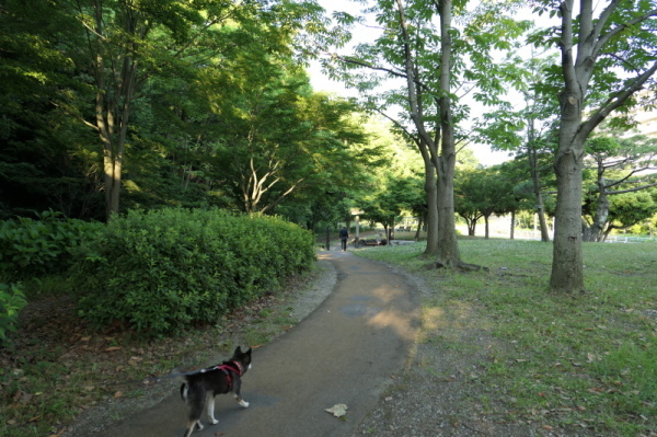 f0369014_13393966.jpg