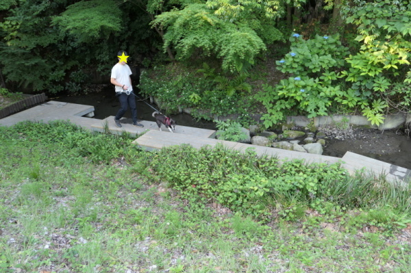 f0369014_13444913.jpg