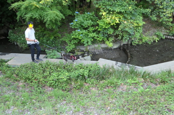 f0369014_13453071.jpg