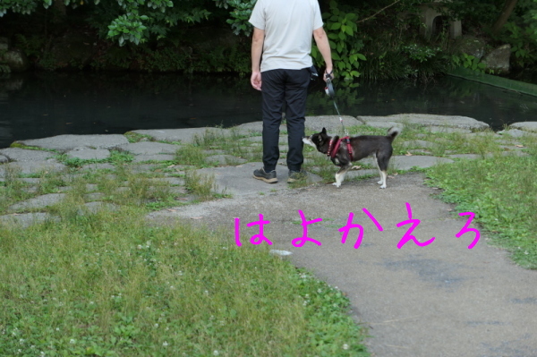 f0369014_13520163.jpg