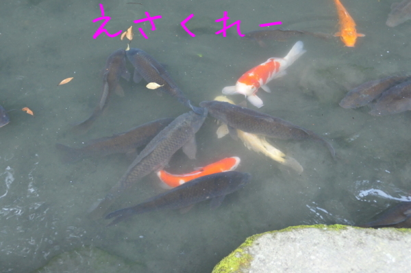 f0369014_13555656.jpg