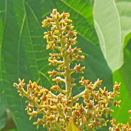 c0190915_1933261.jpg