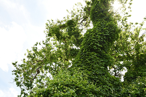 b0259218_01044745.jpg