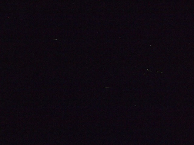 d0295818_20122448.jpg