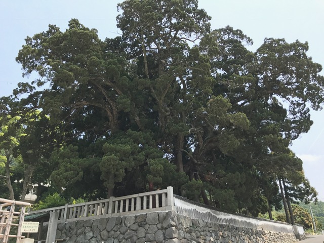 e0153619_1340320.jpg