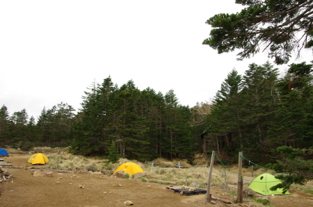 b0367122_08531213.jpg