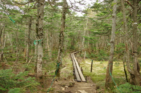 b0367122_08533196.jpg