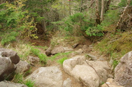 b0367122_09070064.jpg