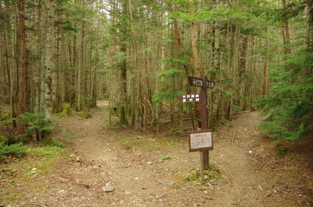 b0367122_09082288.jpg