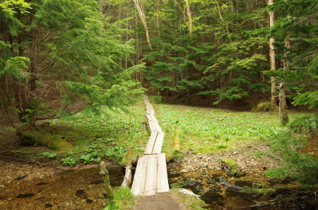 b0367122_09083594.jpg