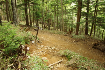 b0367122_09091748.jpg