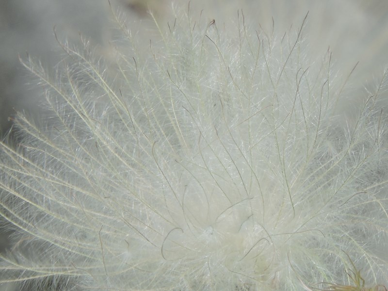e0362222_21393001.jpg