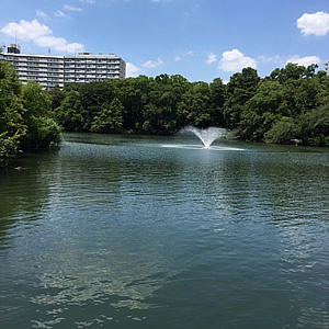d0248537_07381819.jpg