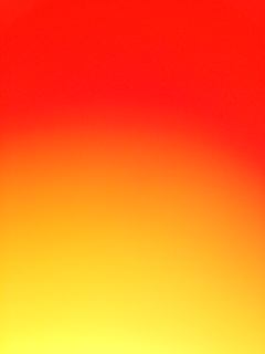 b0134838_849630.jpg