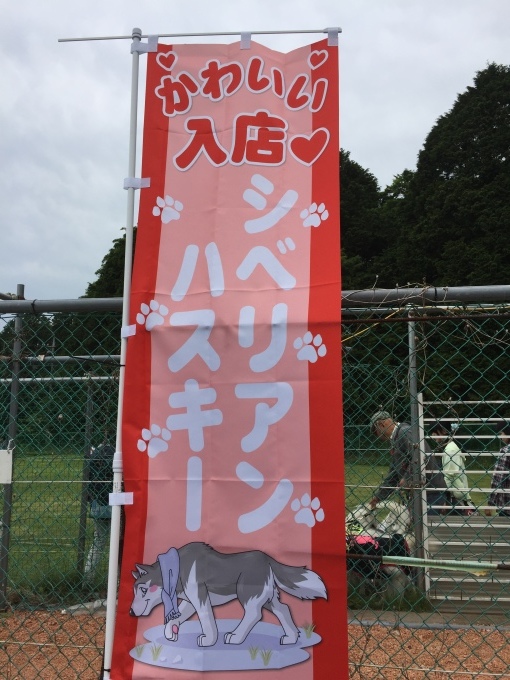 b0369239_13274015.jpg