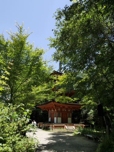 f0141840_23413995.jpg