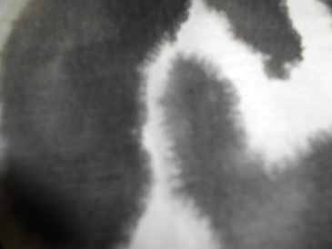 a0124543_208455.jpg