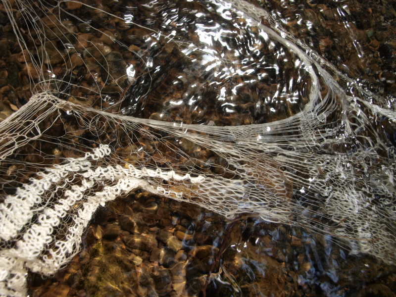 c0243045_23104887.jpg