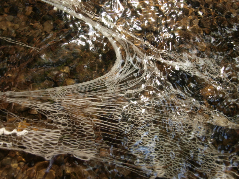 c0243045_23141845.jpg