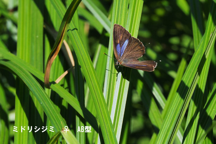 d0149245_22495677.jpg