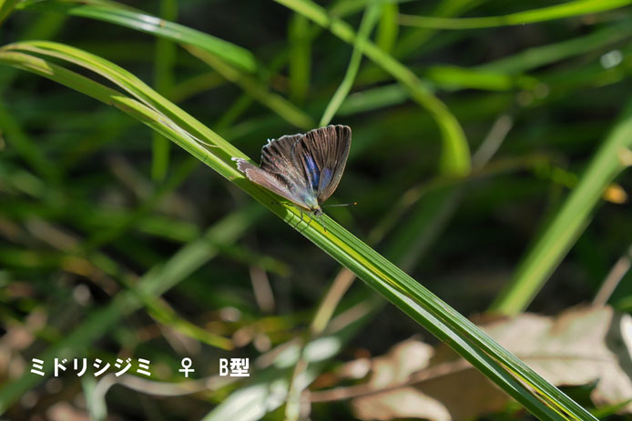 d0149245_22500516.jpg