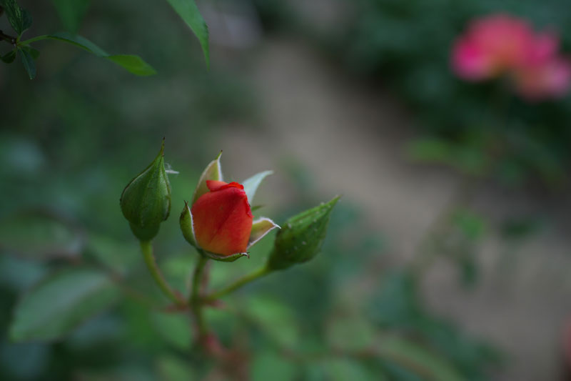 d0342652_17154896.jpg