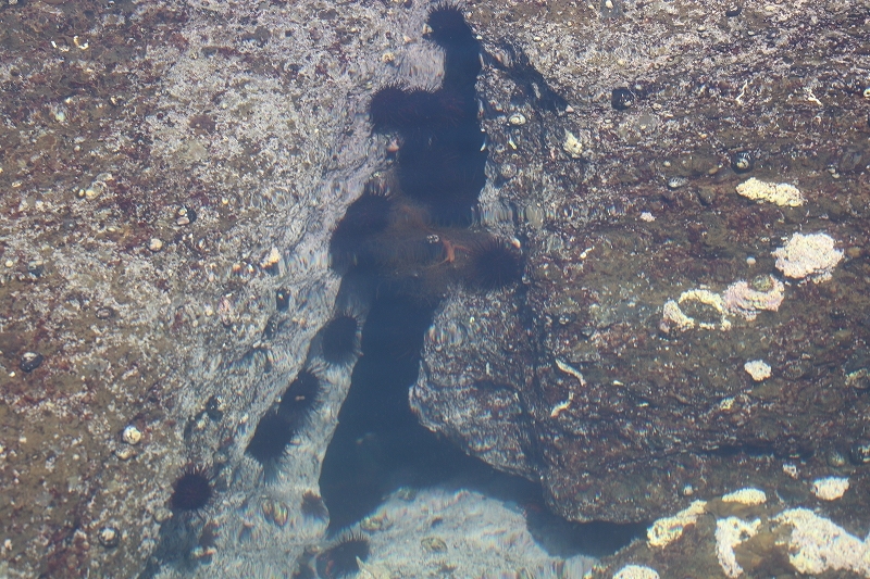 b0250154_20271444.jpg