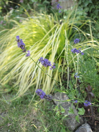 a0335560_08214443.jpg