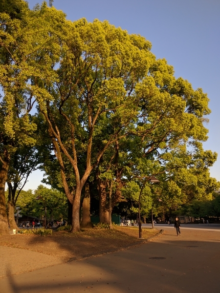 e0153367_17434001.jpg